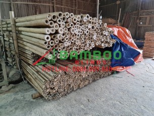 Bán Cây Tre, Cây Trúc Khô Giá Rẻ TPHCM | Bamboo Blinds